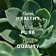 thumbnail image 2 of Nature's Sunshine Uva Ursi, 100 c&#2013265921psulas, 2 of 4
