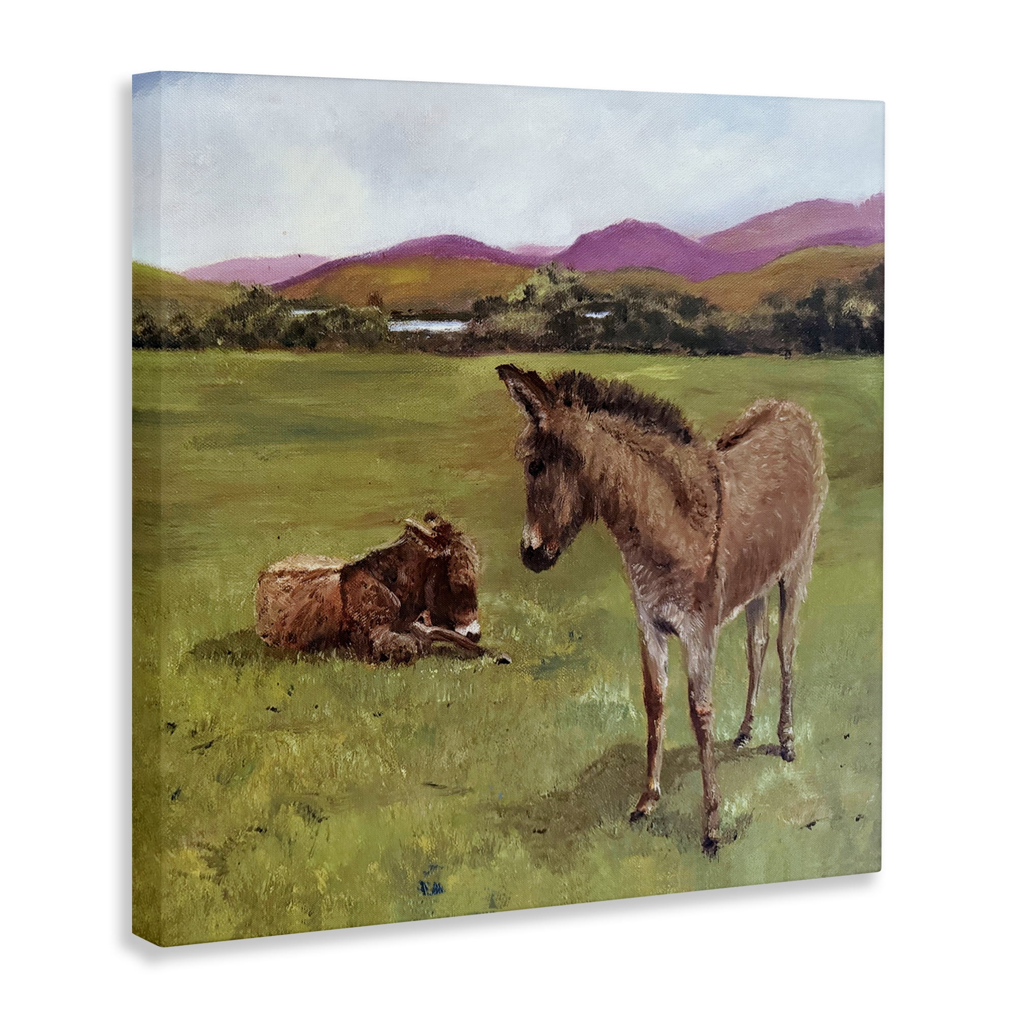 Donkey Duo in Pasture Canvas Wall Art, design by Patricia Reynolds