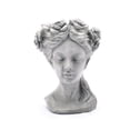 thumbnail image 1 of LuxenHome Gris MgO Dame Rose Couronne Buste Planteur, 1 of 10