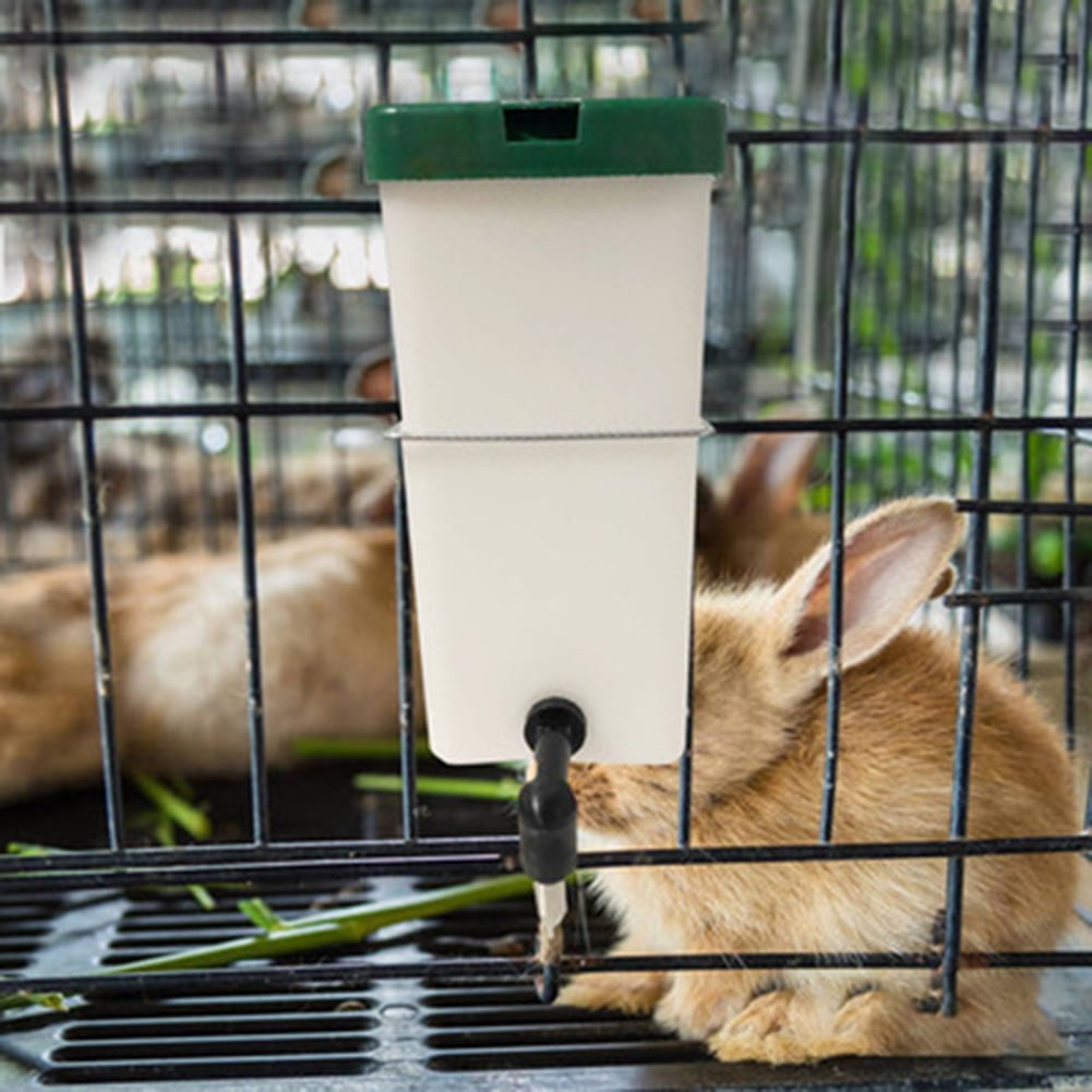Rabbit drinking bottle hotsell