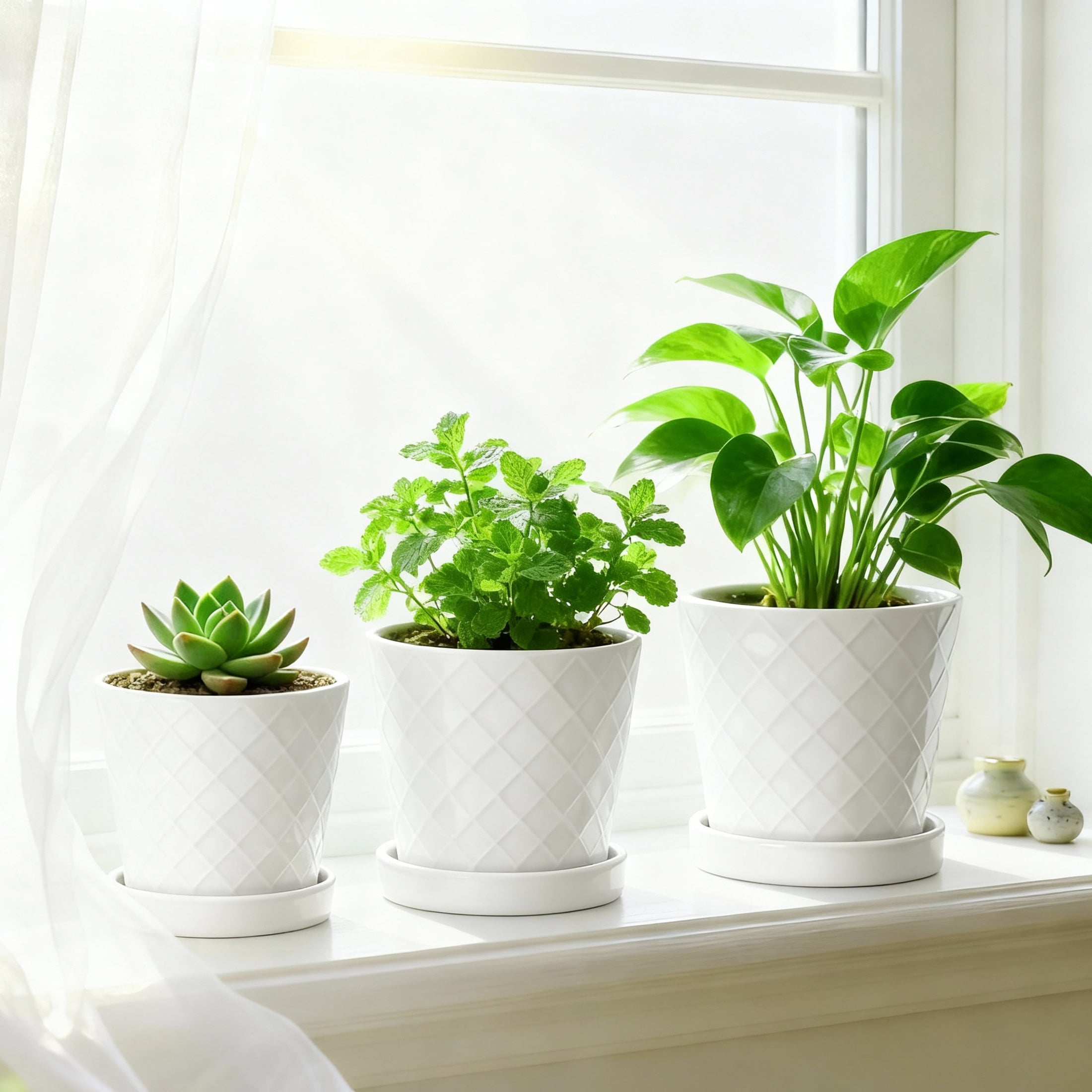 BUYMAX 4",5",6" Dia Planter Set of 3, Modern Style Ceramic Plant Pots with Drainage Hole and Tray for Indoor Outdoor Patio, Crisp Bright White
