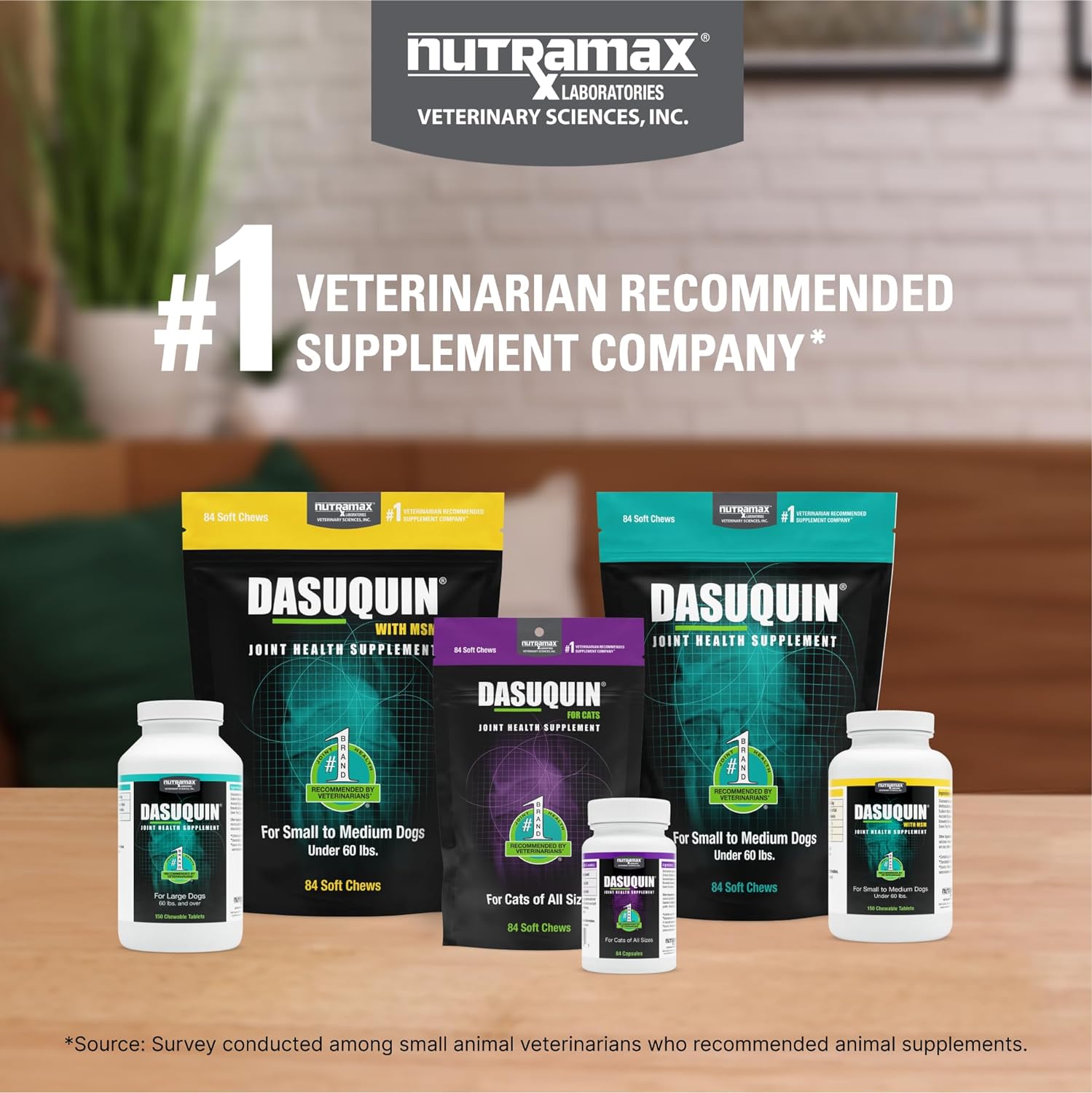 Dasuquin Senior for Large Dogs – for Immune Support, Skin & Coat Health, and Brain Health, 84 Soft Chews