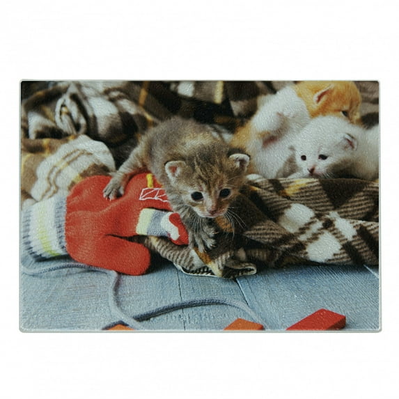 Cats Cutting Board, Kittens and Mittens s Animals in an Plain Blanket Wood Play Toys, Decorative Tempered Glass Cutting and Serving Board, Small Size, Multicolor, by Ambesonne