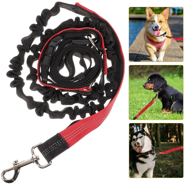 FESTFENDS 1Pcs Assorted Color Dog Leash for Walking and Hiking 52.27X0.98X0.39in