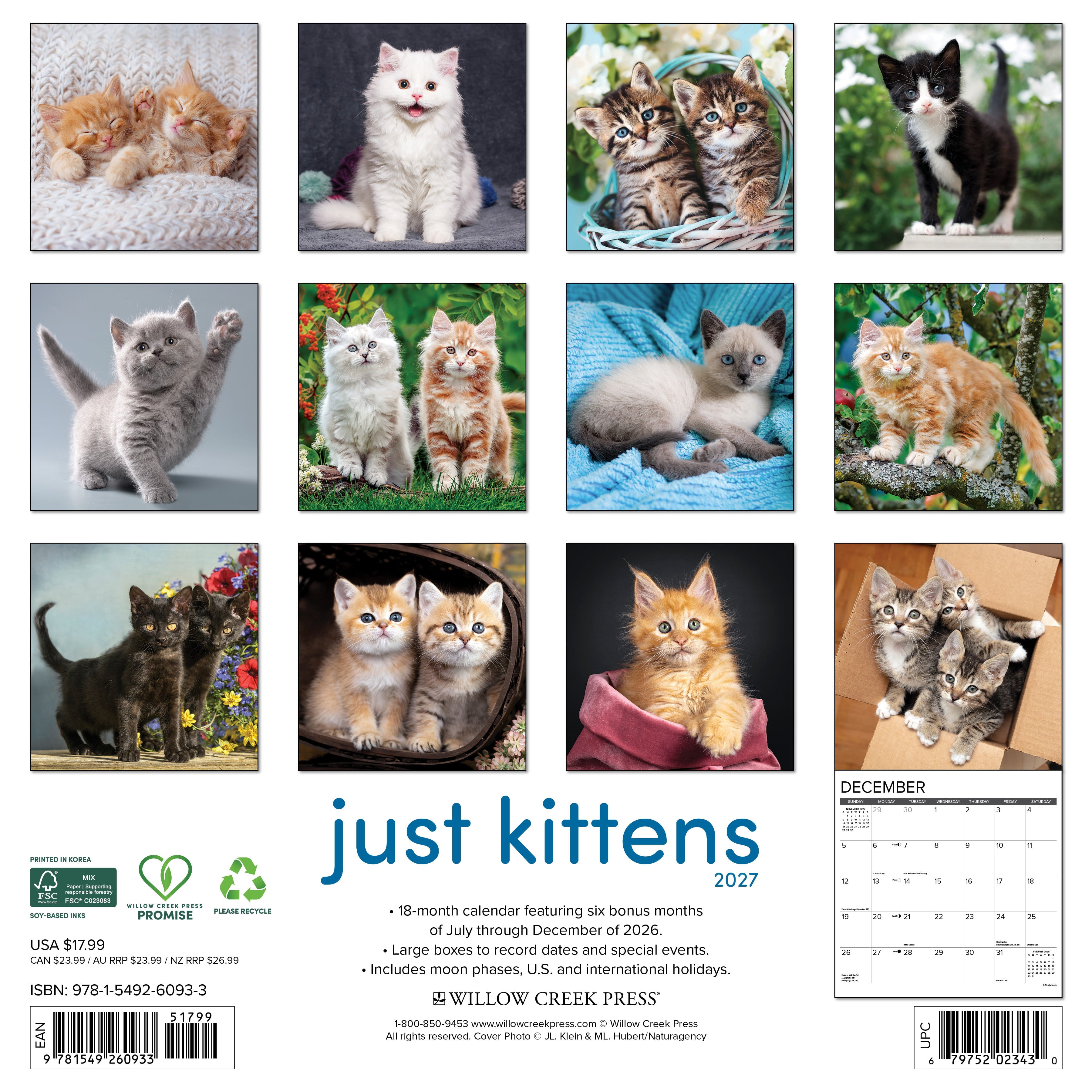 Willow Creek Press, Kittens 2027 Wall Calendar