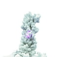 thumbnail image 2 of Vickerman Artificial 36" X 24" Indoor Flocked Alaskan Pine Christmas Tree, 100 Dura-Lit® Multi-Colored LED lights, 2 of 4