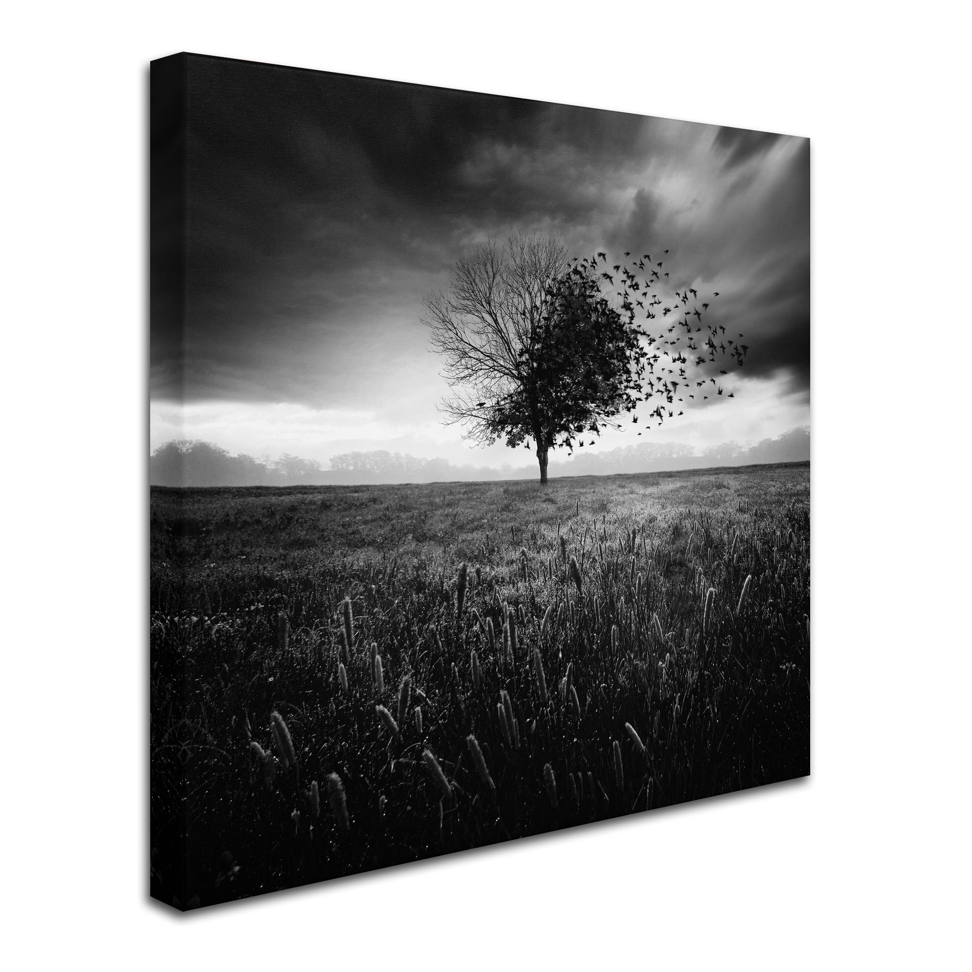 Trademark Fine Art 'Illusion Dun Printemps Perdu' Canvas Art by Sebastien Del Grosso