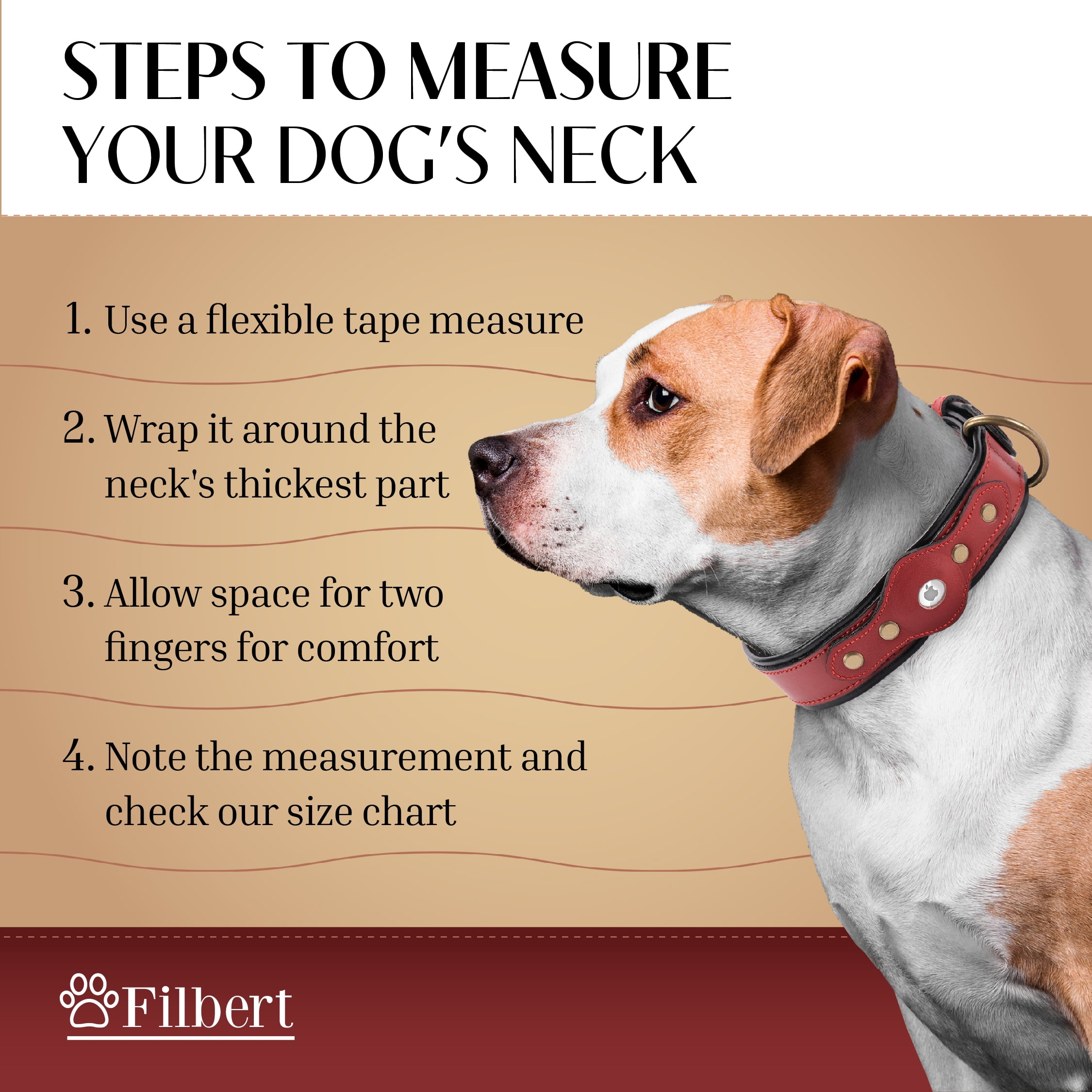 Filbert Leather Dog Collar with Airtag Holder, Airtag Collar For Medium Dogs, Leather, Vegetable Tanned Full Grain, Adjustable for All Breeds,  Heavy Metal Buckle, Ultra-Durable