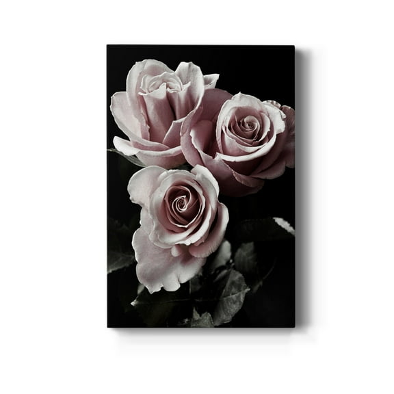 Rose Noir I Premium Gallery Wrapped Canvas - Ready to Hang - 8 x 12