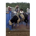 thumbnail image 1 of Searchlight GP Rodeo Glossy Poster, 1 of 2