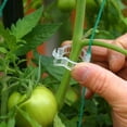 thumbnail image 5 of 100pcs Tomato and Veggie Garden Plant Support Clips For Trellis house Twine M2G3, 5 of 9