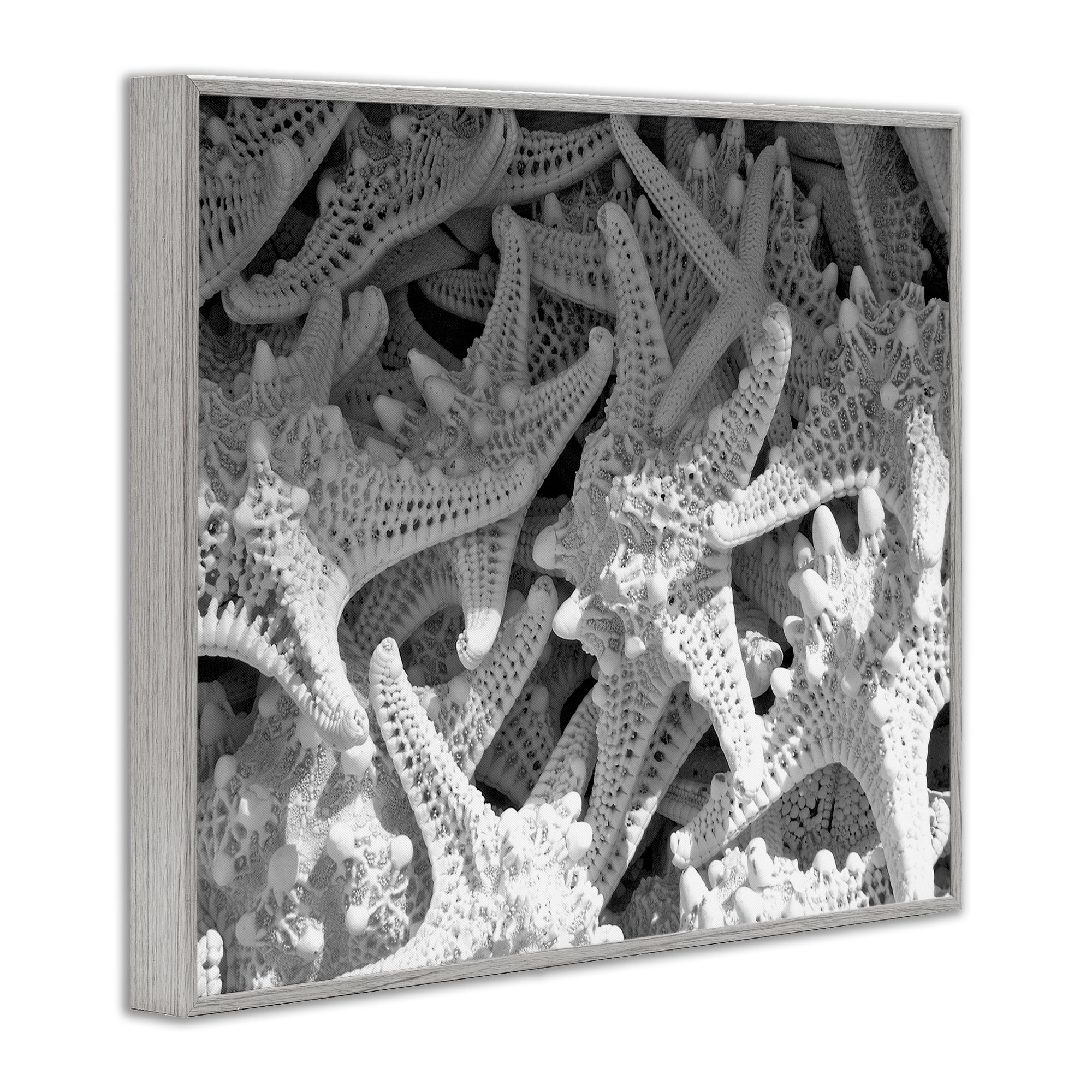 Stupell Industries Nautical Starfish Pile Coastal Photography Gray Framed Art Print Wall Art, 20 x 16