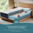 thumbnail image 6 of Bedstory 14" Queen Firm Mattress, Euro Top, Pressure Relief, Extra Support, CertiPUR-US Certified, 365 Night Trial, 6 of 6