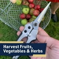 thumbnail image 4 of Kings County Tools Garden Scissors – 2.5” Blade Pruning Shears for Herbs, Flowers & Harvesting, 4 of 7