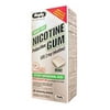 RUGBY NICOTINE GUM 2MG MINT NICOTINE POLACRILEX-2 MG off white 50 CT UPC 305361362065