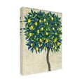 thumbnail image 2 of Tim OToole 'Lemon Tree Composition I' Canvas Art, 2 of 3