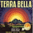 thumbnail image 2 of Art.com Terra Bella Brand - Terra Bella, California - Citrus Crate Label Stretched Canvas Print Wall Art by Lantern Press, 30" x 30", 2 of 4