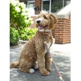 thumbnail image 2 of Country Brook Petz® 1 inch Midnight Fright Gunmetal Dog Leash, 6 Foot, 2 of 5