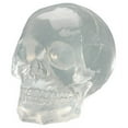 thumbnail image 2 of Clear Translucent Skull Collectible Figurine, 2 of 2