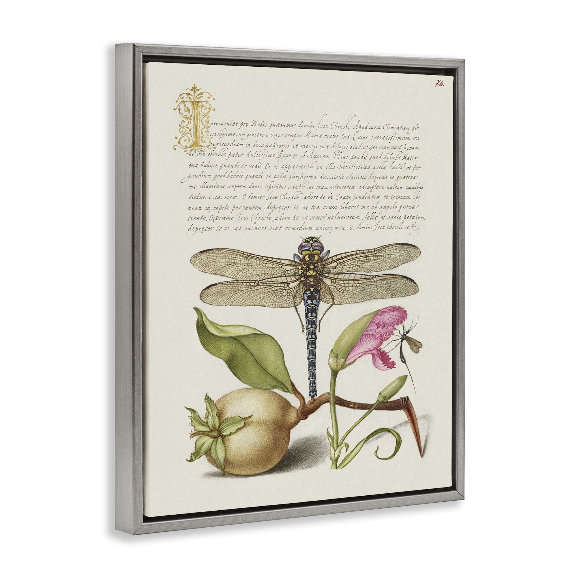 Stupell Industries Vintage Dragonfly & Plants Text & Numbers Painting Gray Floater Framed Canvas Art Print Wall Art, 25 x 31