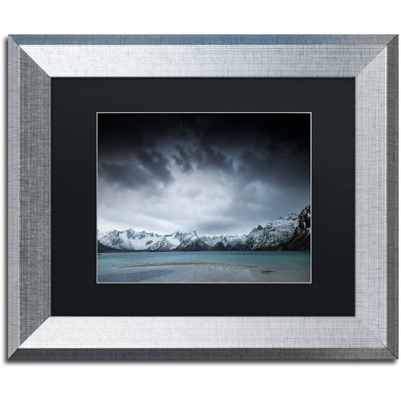 Trademark Fine Art "Over The Years" Canvas Art by Philippe Sainte-Laudy, Black Matte, Silver Frame
