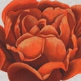 thumbnail image 3 of Popp, Grace 12x12 Black Modern Framed Museum Art Print Titled - Fiery Floral II, 3 of 5