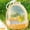 🌻Yellow_Base#677, variant on Small Pet Travel Carrier Portable Bird Cage for Parrots and Small Birds with Perch Lightweight Clear Plastic Small Animal Carrier for Travel and Vet Visits