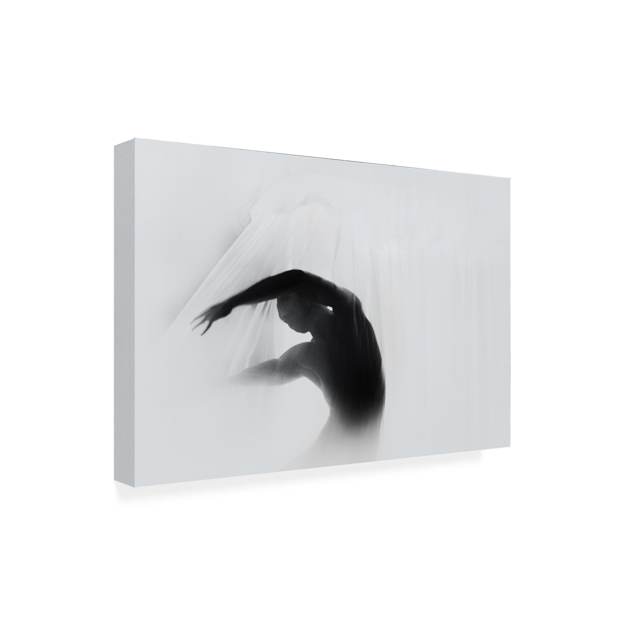 Babak Haghi 'The Dance Of Silence' Canvas Art