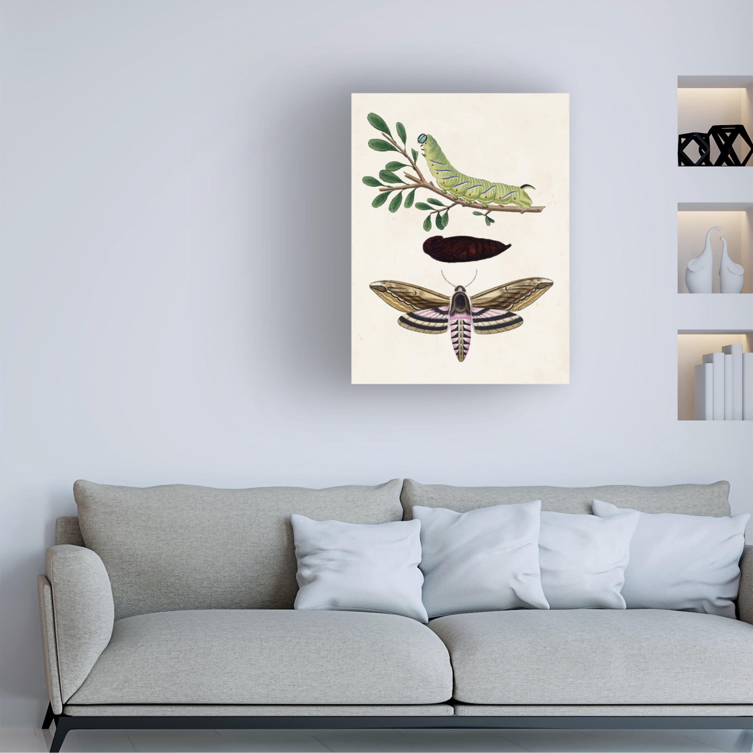 Unknown 'Caterpillar and Moth I' Canvas Art