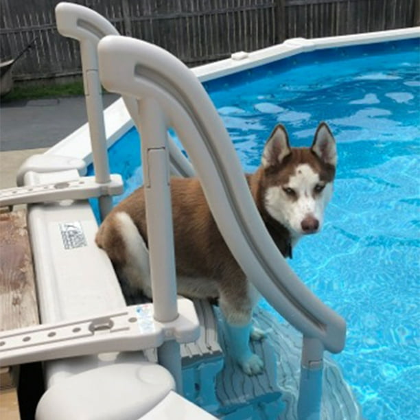 Above ground pool ladder for dogs online