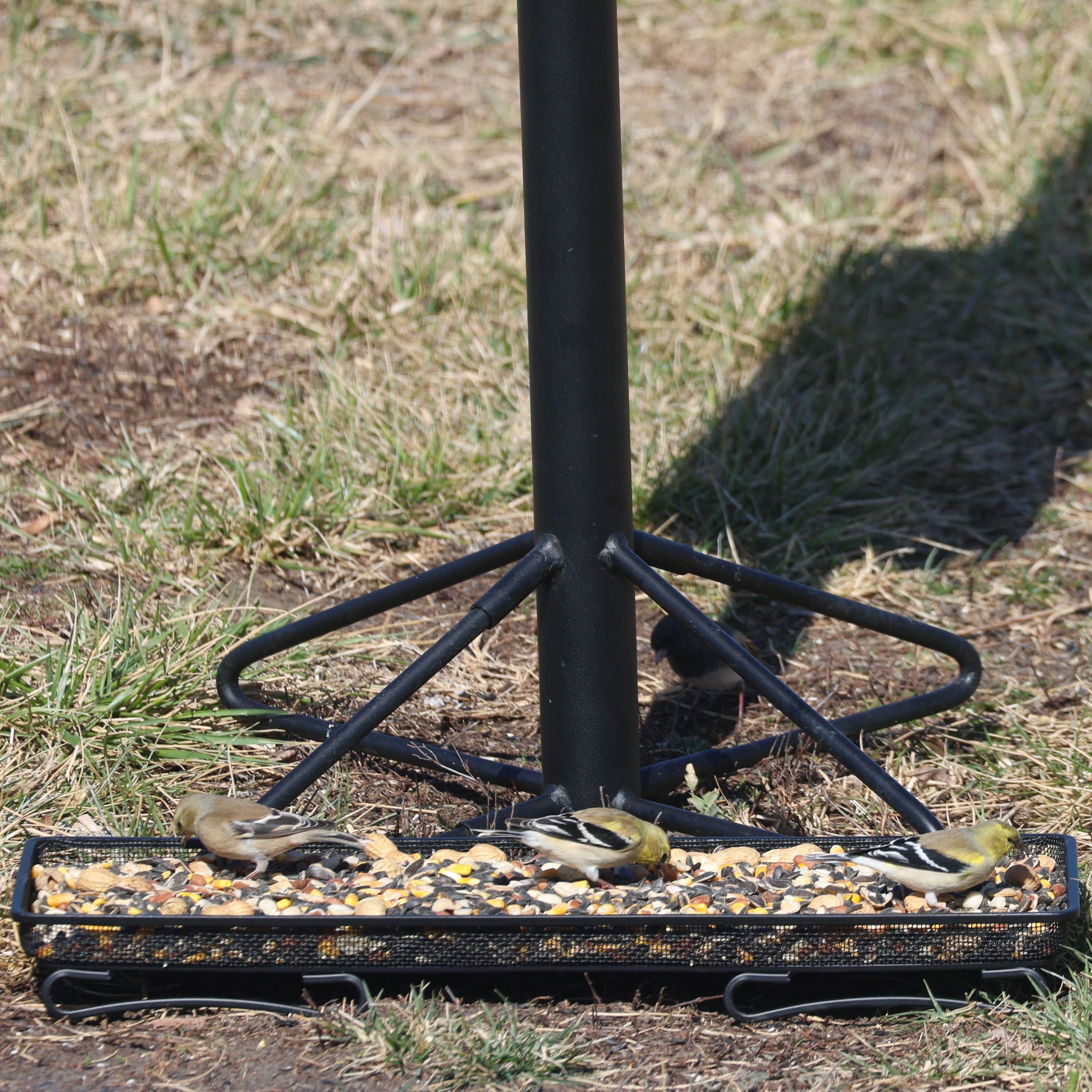 Backyard Essentials Mammoth Deck and Ground Feeder Tray - Metal Bird Feeder Tray for Cardinals, Finches Woodpeckers, Jays and Squirrels