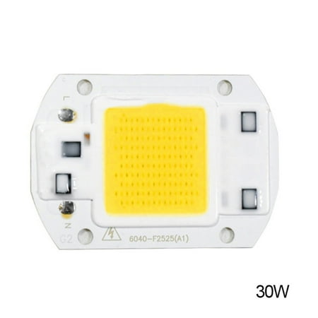 

Big Clearance! LED Chip 220V LED COB Bulb Chip Input IP65 Smart IC Fit For DIY LED Flood Light LED Modules 20W 30W 50W