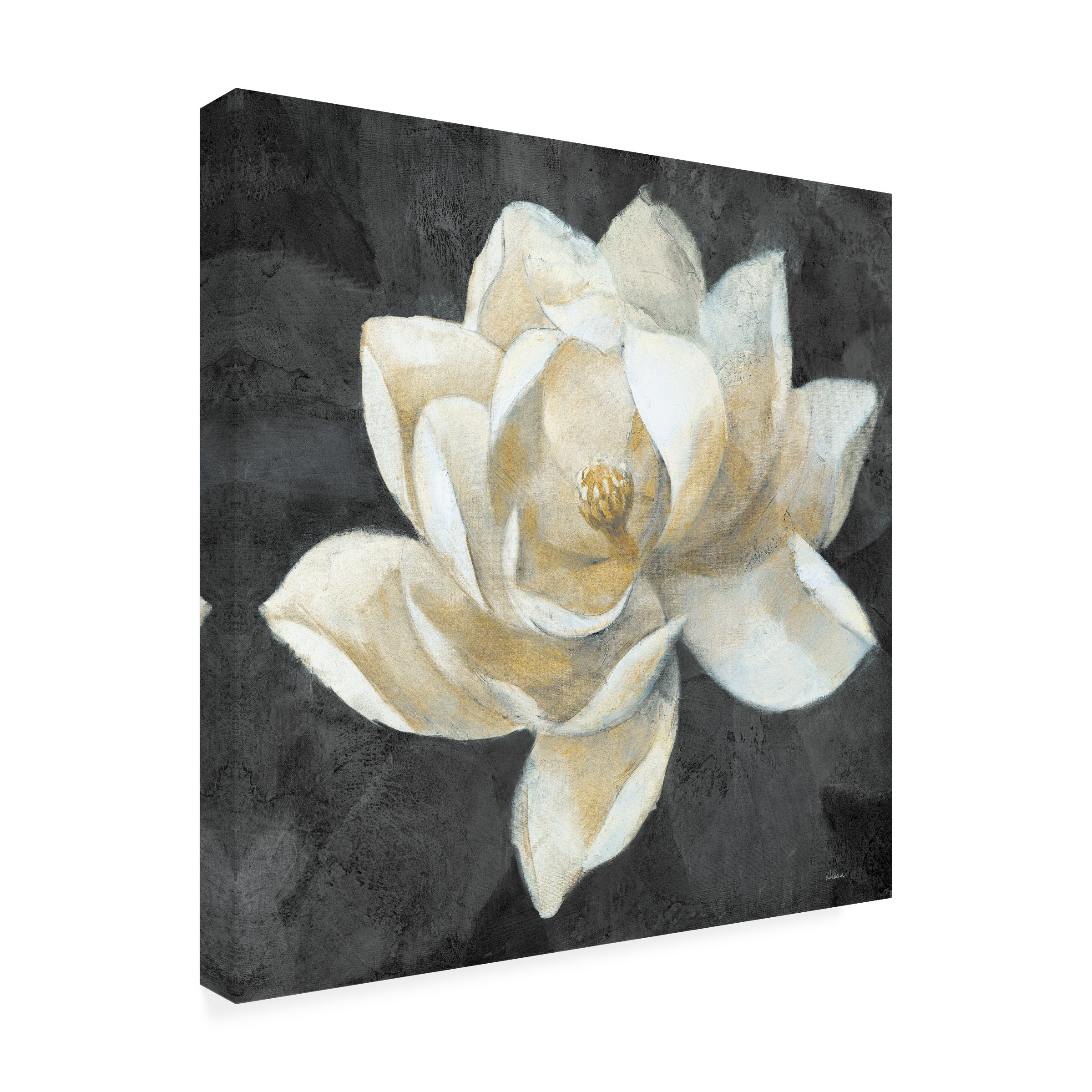 Trademark Fine Art 'Majestic Magnolia Neutral Sq' Canvas Art by Albena Hristova