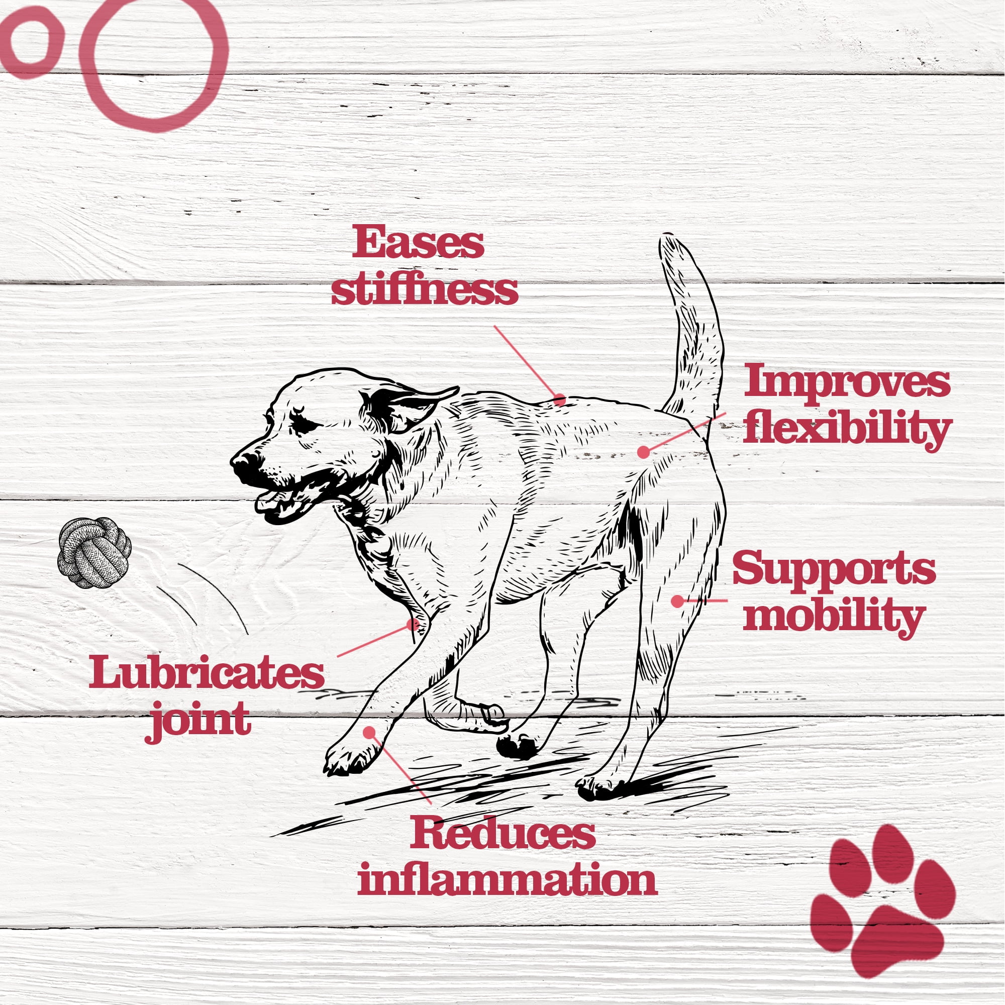 Dr. Pol Mobility Chews with MSM - Glucosamine for Dogs 50 Count
