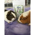 Wheeky Pea Flakes A Special Treat for Rabbits, Guinea Pigs, Hamsters
