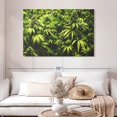 thumbnail image 2 of Elephant Stock Cannabis Field Wall Art - Horizontal Canvas Wall Art - Living Room Wall Decor - Floral And Botanical Canvas - Green And Decor - 48" x 32", 2 of 4