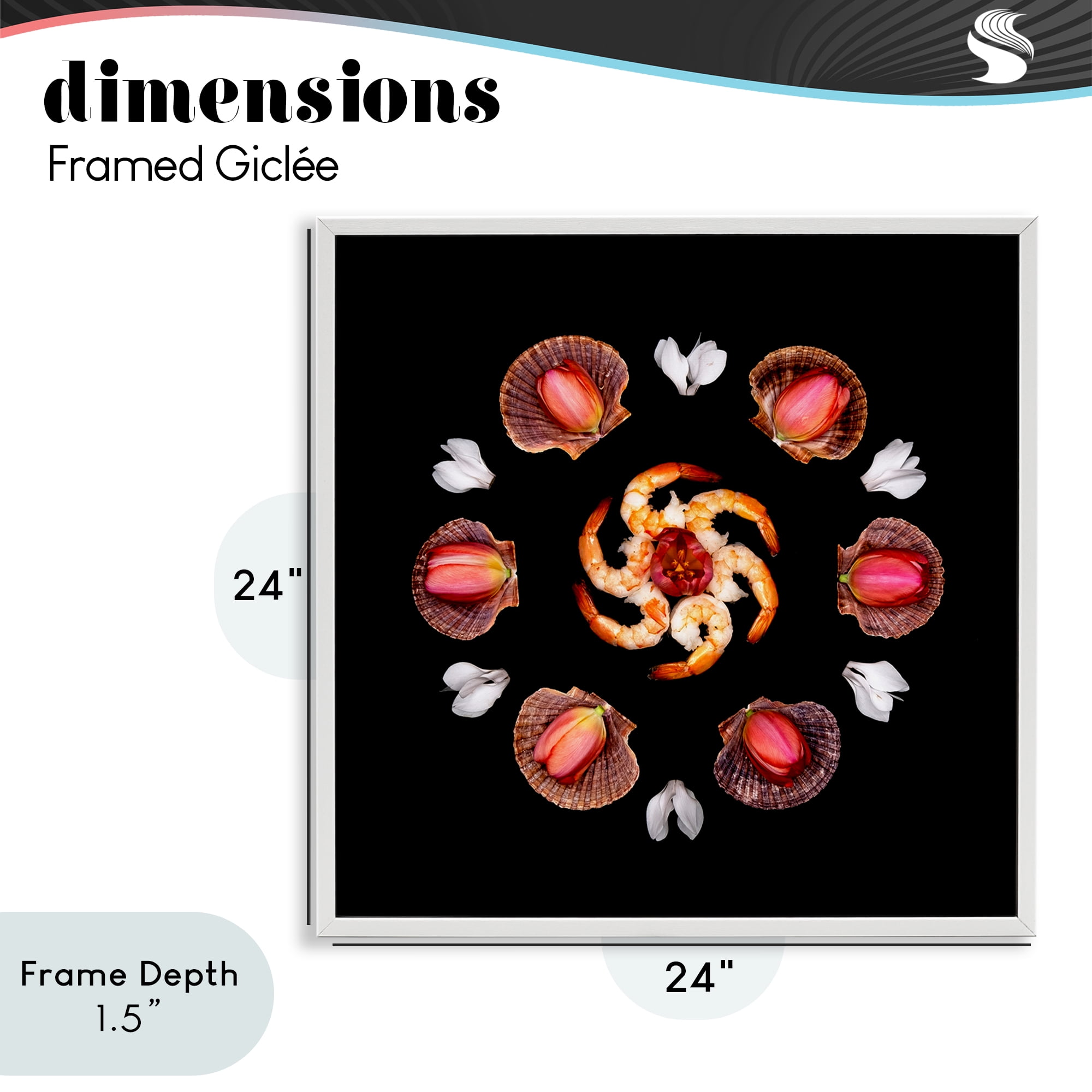 Stupell Industries Seashells & Tulips Symmetry White Framed Giclee Art, design by Beth Adoette