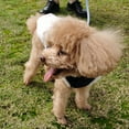 thumbnail image 3 of Autumn Winter Cotton-padded High Collar Fabric Patched Vest Pet Dog Clothes, 3 of 8