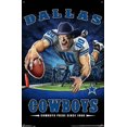 thumbnail image 4 of NFL Dallas Cowboys - End Zone 17, 4 of 4