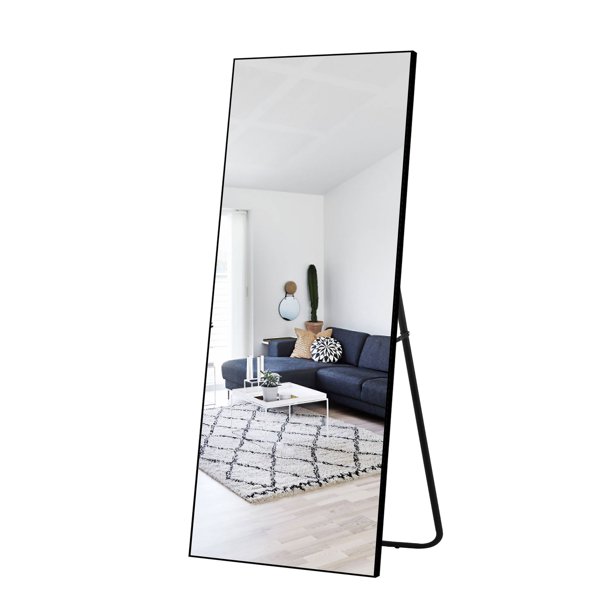 NeuType 43" x 0.79" Black Modern Floor Mirror