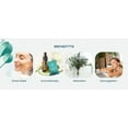 thumbnail image 4 of Body Restore 6 Count Shower Steamers with Essential Oils, Eucalyptus and Mint for Aromatherapy, 4 of 7