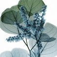 thumbnail image 2 of Art.com Lilly of Eucalyptus Art Print by Albert Koetsier, 24" x 24", 2 of 4