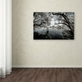 thumbnail image 3 of Trademark Fine Art "White Foliage" Canvas Art by Philippe Hugonnard, 3 of 3