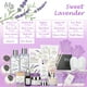 thumbnail image 2 of Set de Spa de Baño y Cuerpo LILY ROY Lavanda con 18 Piezas, 2 of 8