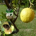 thumbnail image 7 of STAOEDU Fly Trap & Fly Catcher Bottle- Solar Wasp Trap Fruit Fly Trap with Natural Non-Toxic Bait Add Water, 7 of 7