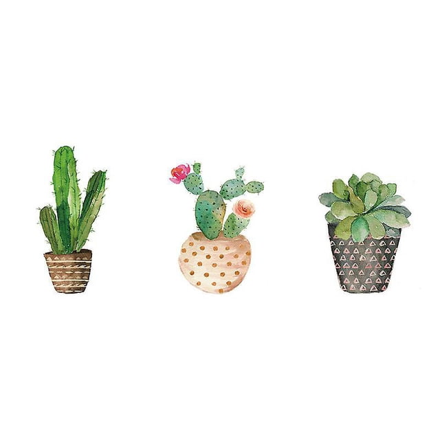 3 piezas pintura de cactus
