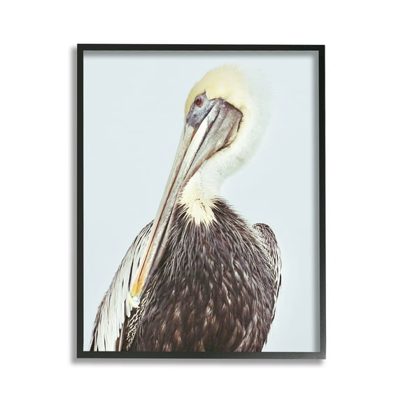 Stupell Industries Preening Pelican Photography Animals & Insects Painting Black Framed Art Print Wall Art, 11 x 14