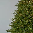 thumbnail image 2 of Seasonal LLC 7.5FT Dandan Pine Christmas Tree, 50 Inches Diameter, Pre-Strung with 2200 Warm White LED Lights, Long-Lasting LED Bulbs, Tree Storage Bag, 2 of 10