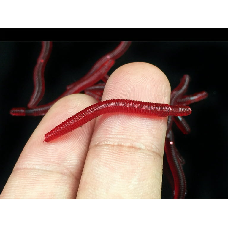 80pcs/Pack Soft Earthworm Bait, Artificial Red Worms Fishing Lures