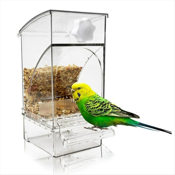 Comedero AutomáTico Transparente para PáJaros, Sin Ensuciar, para Loros, Periquitos y Canarios.